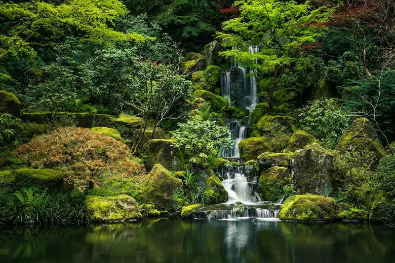 Stephen Paulus Songs of Nature and Earth